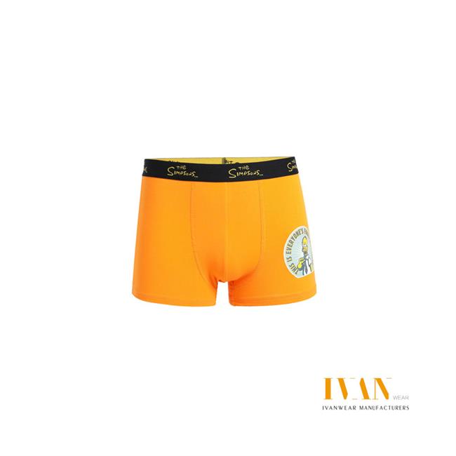 Men's Boxer