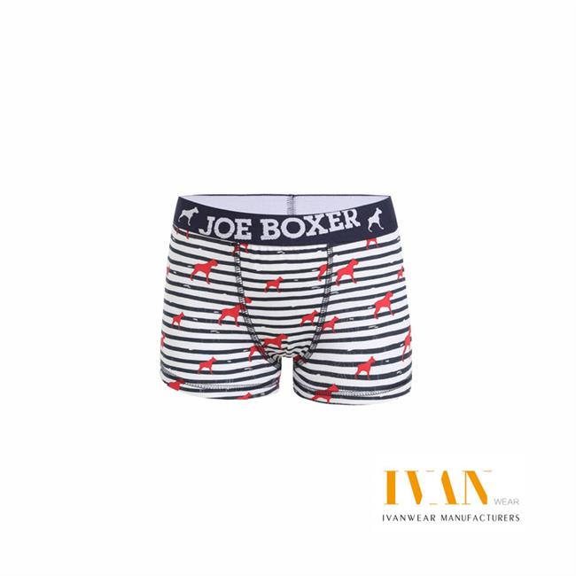 Boy's Boxer