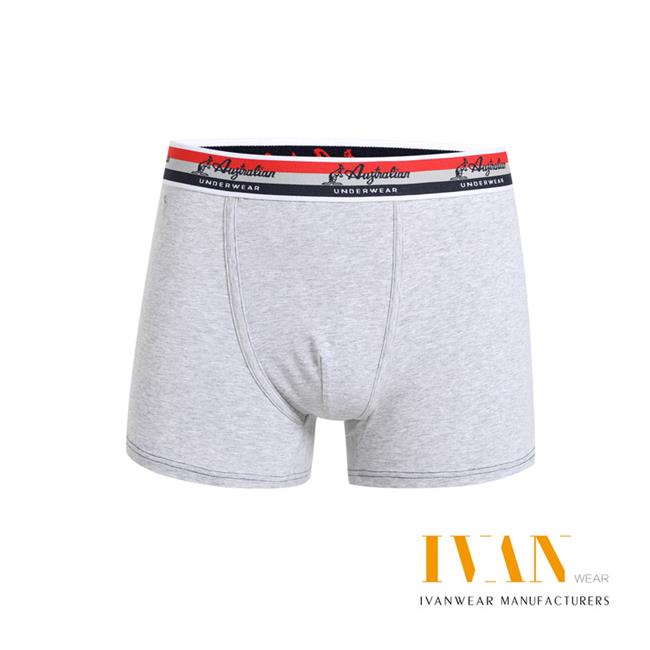 Men's Boxer