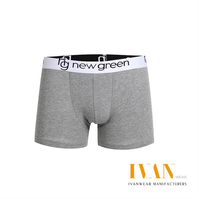Men's Boxer